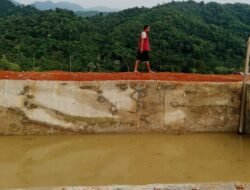 Hutan di Bahorok Dirusak, Kadis LHK Sumut : Kalau KPH Tak Sanggup, Saya yang Turun