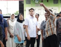 Desak Remajakan Pohon Perindang, Ricky Anthoy: Jangan Sampai Ada Korban Lagi